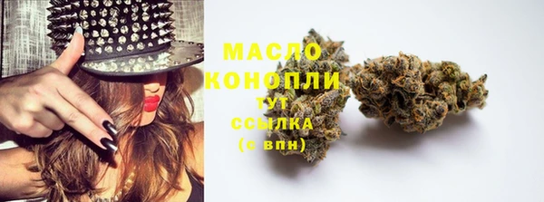 гидра Богданович