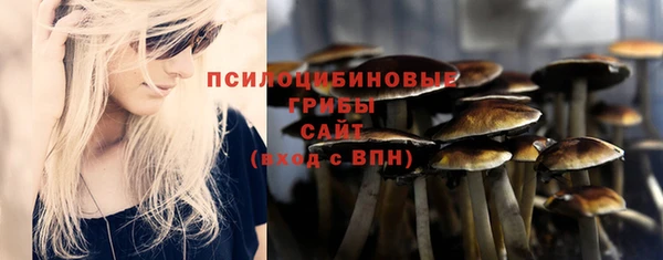 хмурый Богородск