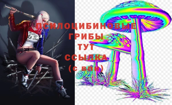 хмурый Богородск