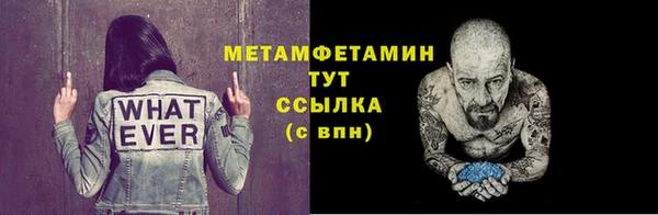 гидра Богданович