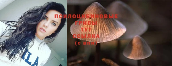 хмурый Богородск