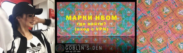 гидра Богданович