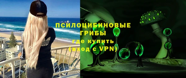 гидра Богданович