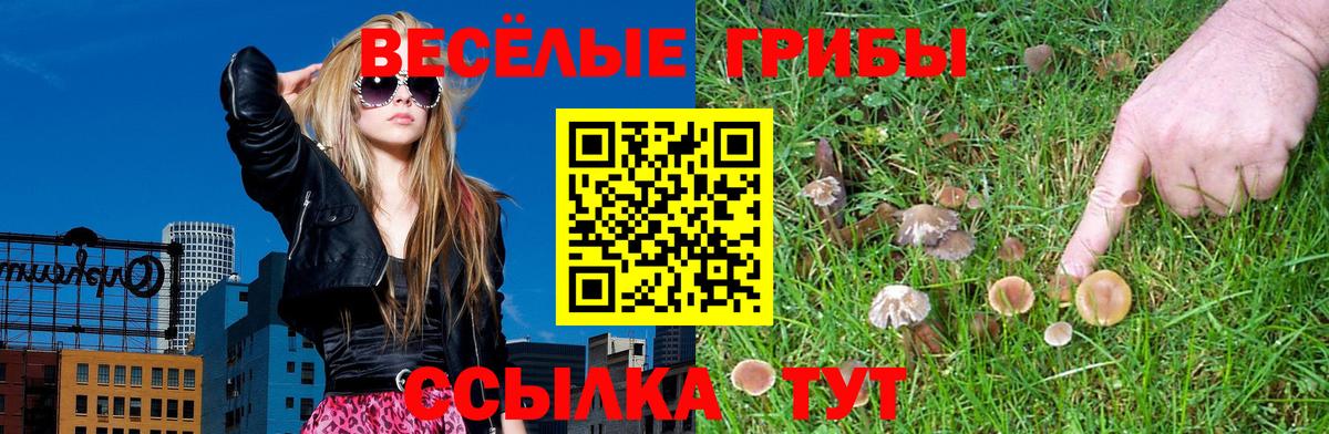 Галлюциногенные грибы Psilocybe Реж
