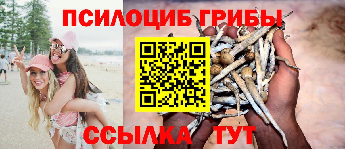 Реж  Псилоцибиновые грибы MAGIC MUSHROOMS  Вход с VPN 